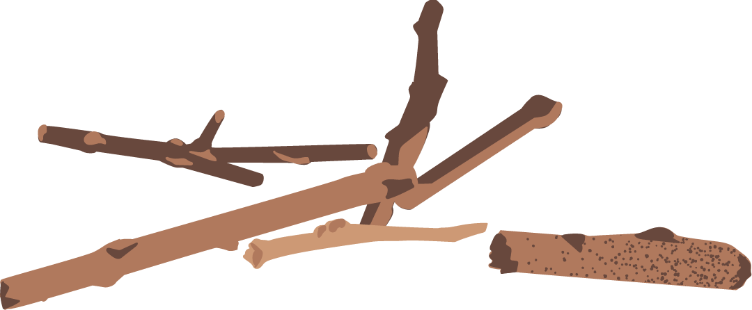 Branchages